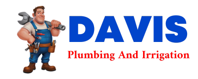 Trusted plumber in PAWLET